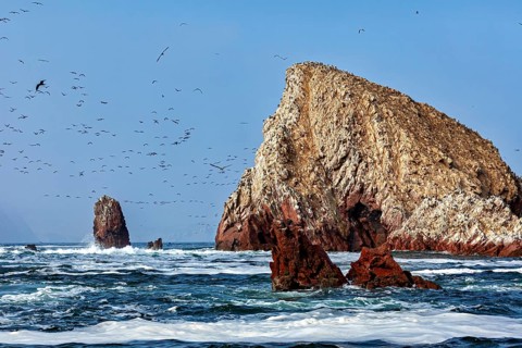 Large, rocky island in the middle of the sea with lots of birds under a clear sky, The rocky coast