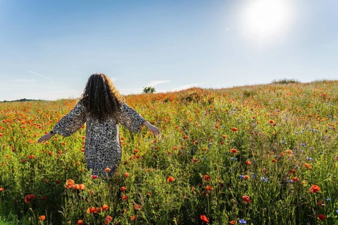 A curly long-haired plus size woman stands on a summer day among a poppy (Papaver rhoeas) field