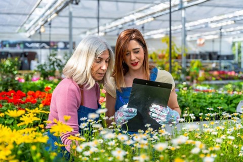Two women nursery workers inspect blooming plants and review a clipboard checklist in a sunlit