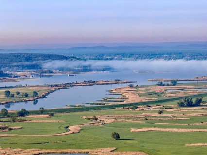 Morning fog over the Oder countryside in the Lower Oder Valley National Park in the Uckermark.
