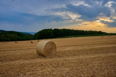 Straw bales in a field at sunset under partly cloudy sky, summer, Reichartshausen, Amorbach,