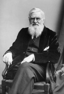 Portrait of Alfred Russell Wallace, London, 1895, Great Britain Alfred Russell Wallace (8 Jan.