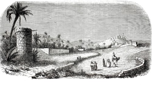 Wood engraving from 1849 depicting the Assela Oasis and Ksours in Algeria, typical desert