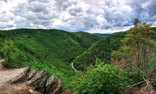 Panoramic view from Elisabethfelsen of a wooded valley under a dramatically cloudy sky, hiking in