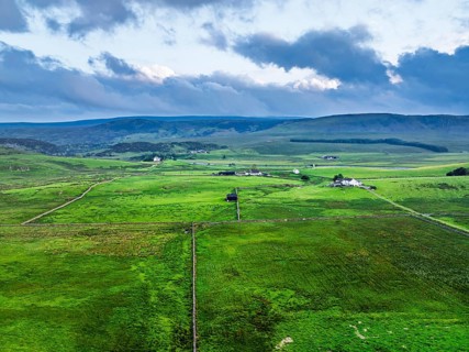 Forest in Teesdale over River Tees from a drone, North Pennines AONB, County Durham, England,