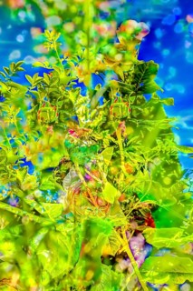 Oil painting, bright leaves, lush green, flowers creative, different plants mixed, artistic shot,