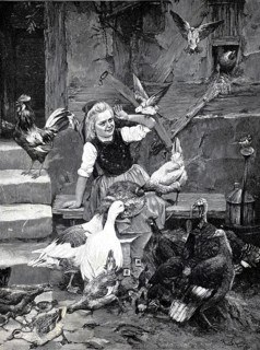 Girl wants to feed the house birds and is attacked by the hungry birds, 1891, Germany, authentic,