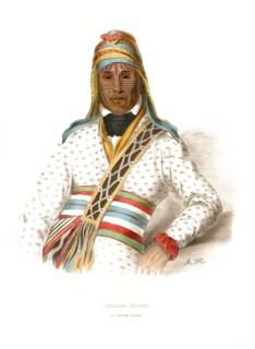 American Indian, Native American, Yoholo-Micco, Chief of the Creek tribe, United States of America,