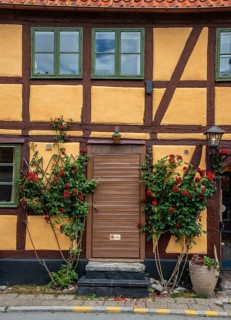 Door with roses in the facade of an older half-timbered house in Ystad, Skåne County, Sweden,