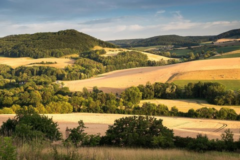 Alter Gleisberg, Germany, Gleistal, Thuringia, Cultivated Landscape, Landscape, Landscape, Nature