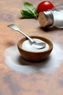 Salt in bowl and salt shaker, table salt