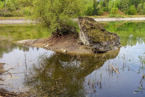 Body of water, lake, reflection, trees, shore, biotope, small island, species protection, nature