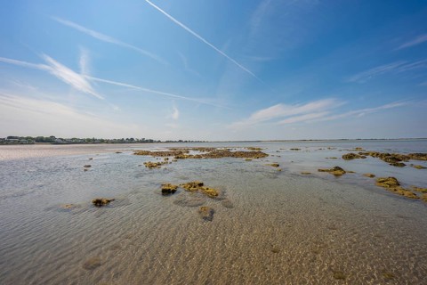 Wide coastal landscape with clear water surface and algae, low tide, Howth beach, Ireland