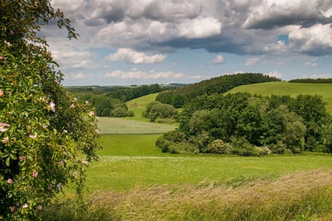 Germany, Greiz, Hegebachtal, Hundhaupten, Thuringia, Thuringia, landscape, landscape