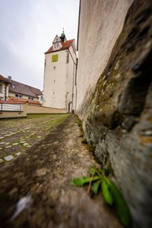 Next to a stone wall with a view of an old tower on an overcast day, Isny, Allgäu, Bavaria, Germany