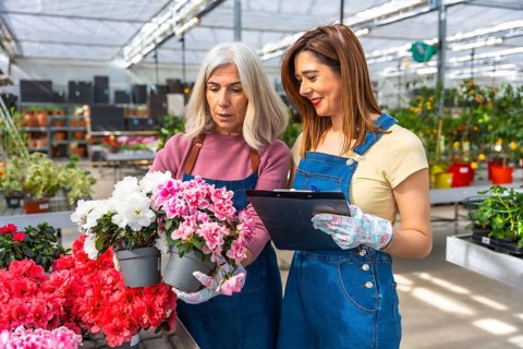 Two women florists collaborating on inventory management and plant selection in a vibrant
