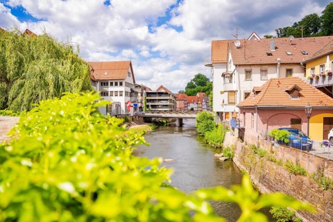 Summer day on a river with buildings and a bridge surrounded by green vegetation, Calw, Black