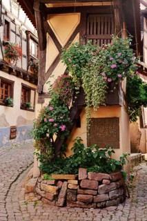 Half-timbered house 'Pigeon House', Eguisheim, Haut-Rhin, Alsace, Grand Est, France