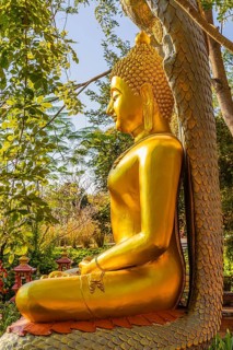 Seated gilded Buddha statue near Lampang, Lampang Province, Thailand