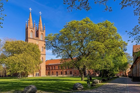 Church, Dobbertin Abbey, Goldberg, Mecklenburg-Western Pomerania, Germany