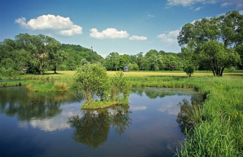 Germany, Greiz, Greizer Park, Hammerwiesen, Thuringia, small water, landscape, landscape, landscape