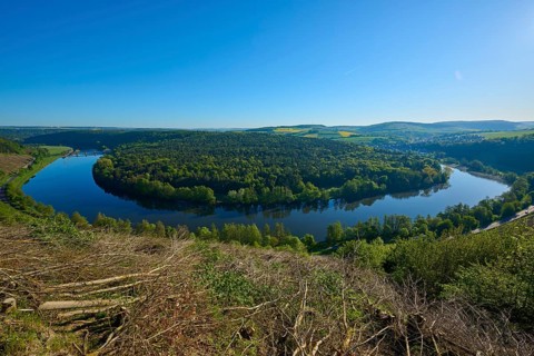 River surrounded by thick greenery under clear blue sky, Mainschleife, Urphar, Wertheim, Main