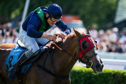 WROCLAW, POLAND - MAY 10, 2026: Horse race track WTWK Partynice. International steeplechase for