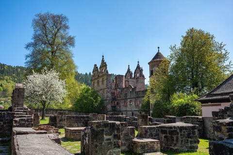 The Hirsau monastery ruins, a former important Benedictine abbey in the Nagold Valley in the