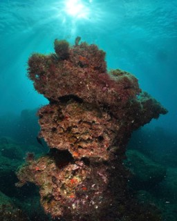 Underwater shot of a lava column on a reef with sunbeams through the water, Montana Amarilla dive
