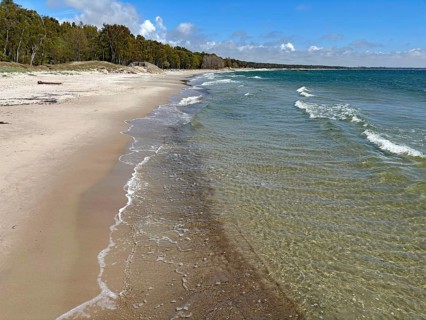 A quiet beach with waves, sand and adjacent forest under a blue sky, Wallander, crime series,
