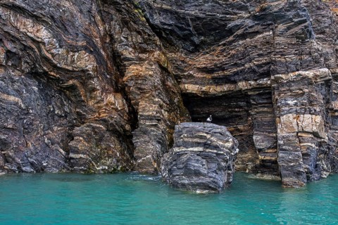 Metamorphic rock formation along Krossfjorden, Haakon VII Land, Spitsbergen, Svalbard, Norway
