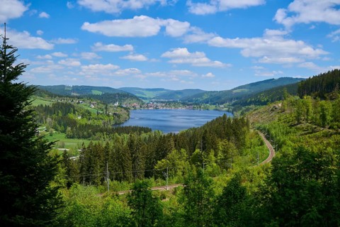 View of a lake surrounded by forest and mountains, with a railway line, under a sunny sky with