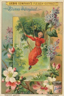 Flower season picture series, This special motif represents the month of May, symbolized by the