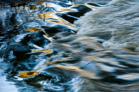 Atmosphere, autumn, detail, flowing water, river, autumn, landscape, river, mood, water
