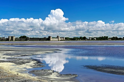 Salt marshes of the Salins du Midi, behind the historic city wall, Aigues-Mortes, Camargue,