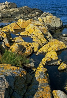 Denmark, Baltic Sea, Bornholm, Countries, High Size, Portrait, Landscape, Countries, Sea, Travel,