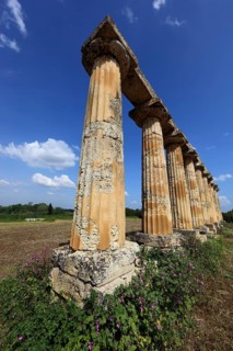 Metaponto, Metaponte, Doric hera temple, Tavole Palatine, Basilicata, Italy