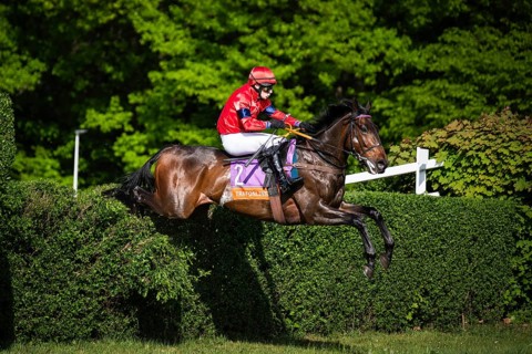 WROCLAW, POLAND - MAY 10, 2026: Horse race track WTWK Partynice. International steeplechase for