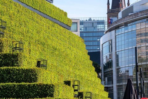 Green façade, made of over 30, 000 hornbeams, a good 8 kilometers long hedge, on the roof and the