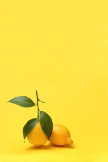 Lemons with leaves against yellow background