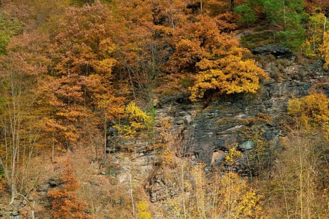 Germany, Greiz, Rothental Alps, Thuringia, Thuringia, Autumn, Elstertal, Cliffs, Autumn, Landscape,
