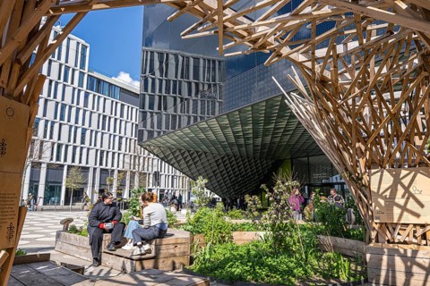 Wooden sculpture on the theme of nature and land in front of the Futurium Museum on Kapelle Ufer,