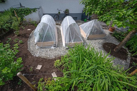 Vegetable beds in a front garden spanning beds with bird nets, Franconia, Bavaria, Germany