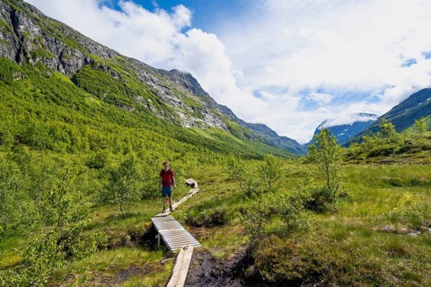 Hikers on a wooden plank hiking trail in the Innerdalen high valley, Trollheimen Mountain Area,