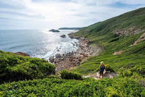 Hikers on their way to the beach, coast and ocean at Robberg Nature Reserve, Plettenberg Bay, South