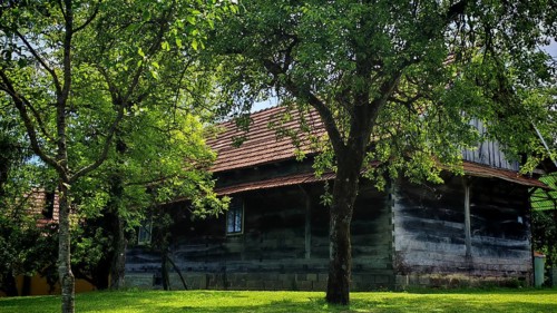 Rural, traditional wooden house surrounded by large trees and a green meadow, quiet and peaceful