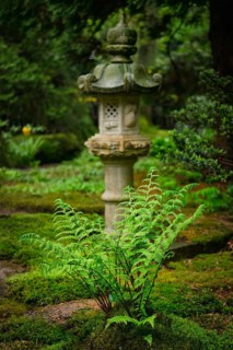 Green fern and lantern in Japanese garden, Park Clingendael, The Hague, Netherlands