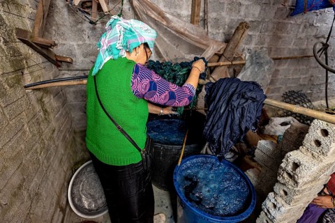 A woman dyes fabrics with blue dyes in a traditional workshop, A woman dyeing traditional clothing