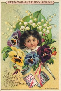Picture series Flora's children, portrait of a child surrounded by blossoms and flowers, Liebig