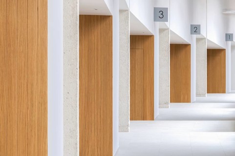 Bright and modern interior showcasing numbered wooden doors aligned along a minimalist hallway,